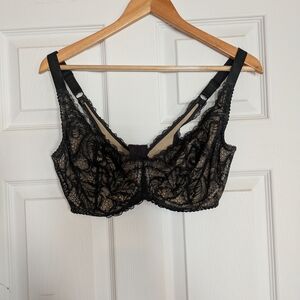 Paramour Black Lace Bra